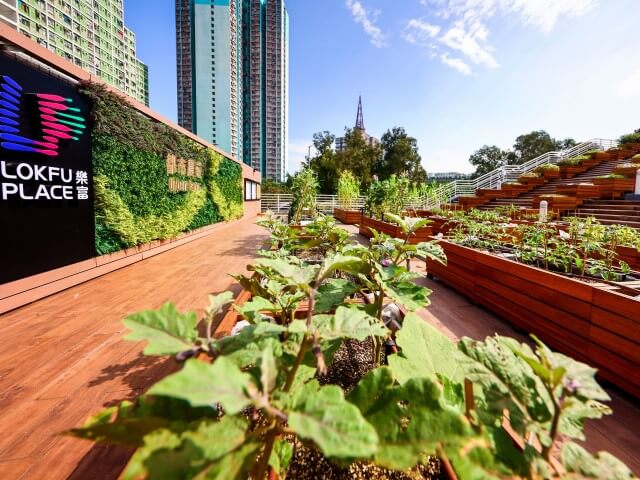 link-reit-media-gallery-lok-fu-urban-farm-thumbnail